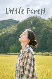 Little Forest 2018 Korean With Subtitle 480p 720p 1080p