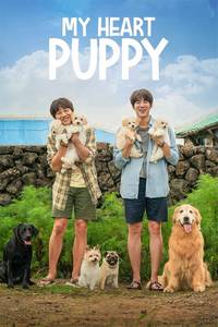 My Heart Puppy 2023 Dual Audio Hindi-Korean 480p 720p 1080p
