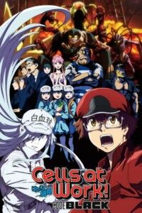 Cells at Work! CODE BLACK Season 1 Multi Audio Hindi-Japanese-English 480p 720p 1080p