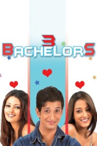 3 Bachelors 2012 Hindi 480p 720p 1080p