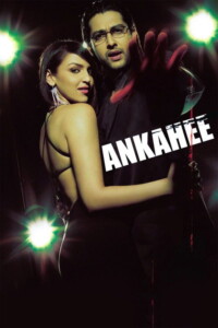 Ankahee 2006 Hindi 480p 720p 1080p