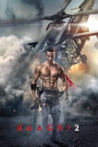 Baaghi 2 2018 Hindi 480p 720p 1080p