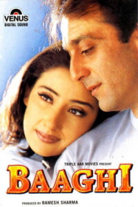 Baaghi 2000 Hindi 480p 720p 1080p