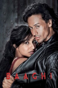 Baaghi 2016 Hindi 480p 720p 1080p