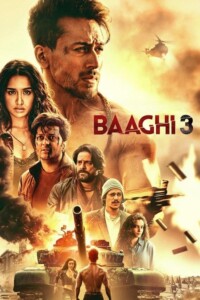Baaghi 3 2020 Hindi 480p 720p 1080p