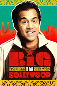 Big in Bollywood 2011 English With Hindi Subtitle 480p 720p 1080p