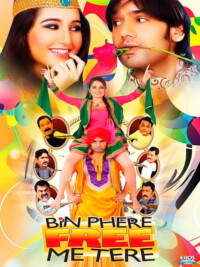 Bin Phere Free Me Tere 2013 Hindi 480p 720p 1080p