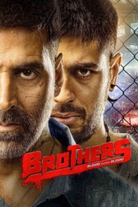 Brothers 2015 Hindi 480p 720p 1080p