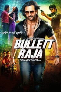 Bullett Raja 2013 Hindi 480p 720p 1080p