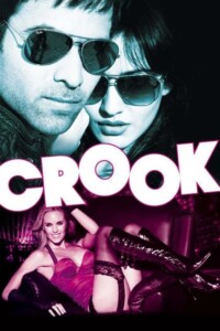 Crook 2010 Hindi 480p 720p 1080p