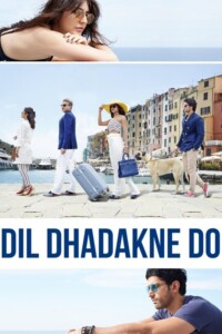 Dil Dhadakne Do 2015 Hindi 480p 720p 1080p