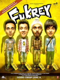 Fukrey 2013 Hindi 480p 720p 1080p