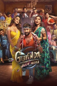 Govinda Naam Mera 2022 Hindi 480p 720p 1080p