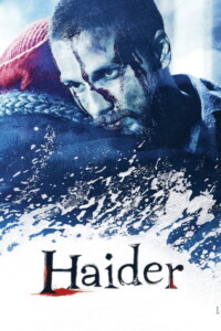 Haider 2014 Hindi 480p 720p 1080p