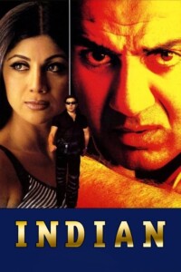 Indian 2001 Hindi 480p 720p 1080p