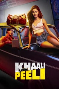 Khaali Peeli 2020 Hindi 720p 1080p