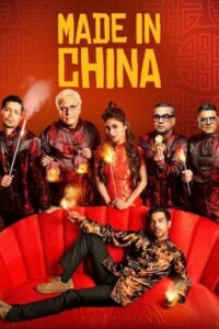 Made In China 2019 Hindi 480p 720p 1080p