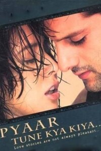 Pyaar Tune Kya Kiya 2001 Hindi 480p 720p 1080p