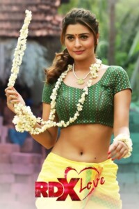 RDX Love 2019 Dual Audio Hindi-Telugu 480p 720p 1080p