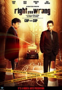Right Yaaa Wrong 2010 Hindi 480p 720p 1080p
