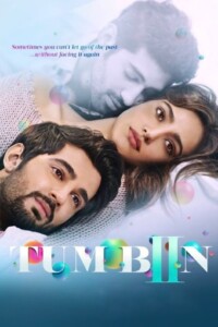 Tum Bin 2 2016 Hindi 480p 720p 1080p