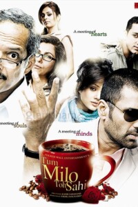 Tum Milo Toh Sahi 2010 Hindi 480p 720p 1080p