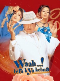 Waah! Tera Kya Kehna 2002 Hindi 480p 720p 1080p
