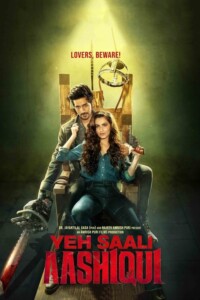 Yeh Saali Aashiqui 2019 Hindi 480p 720p 1080p