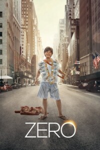 Zero 2018 Hindi 480p 720p 1080p